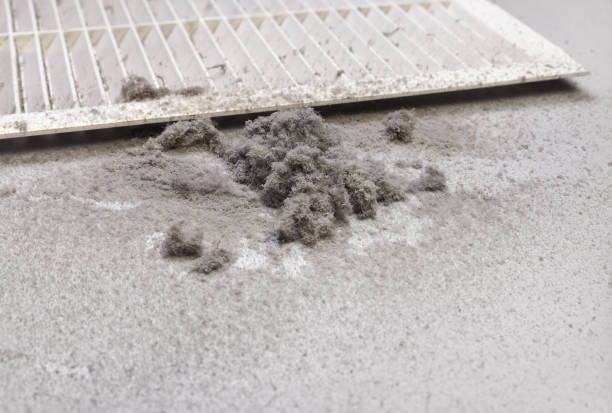 Best Air Duct Cleaning Near Me  in Isle Of Hope, GA